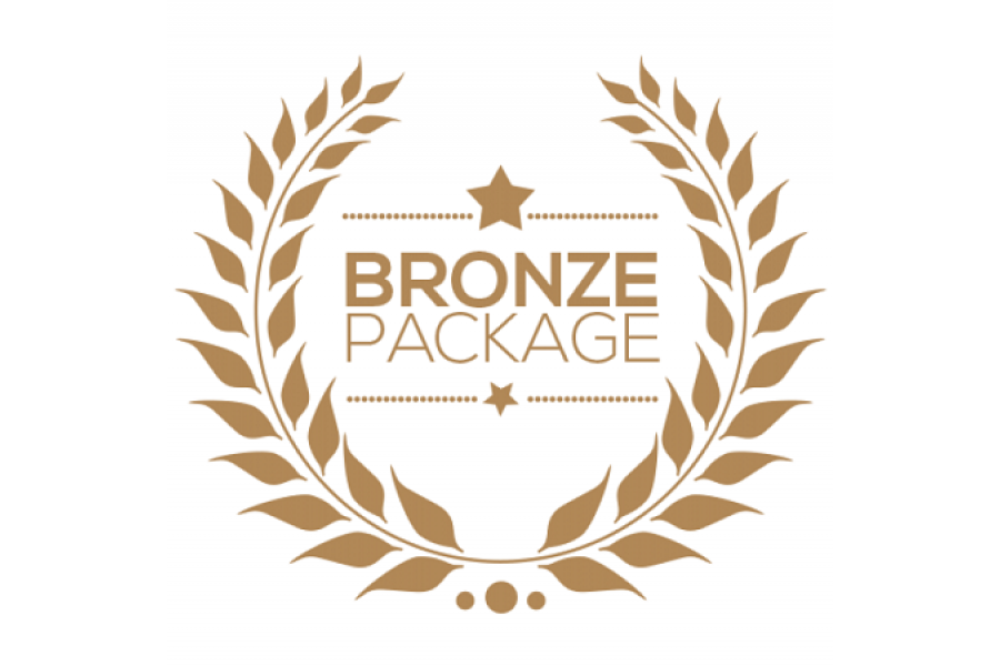 Bronze Web Hosting Package