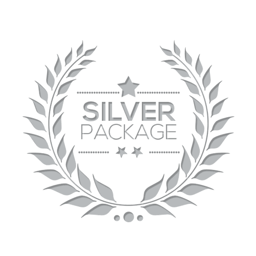 Silver Web Hosting Package